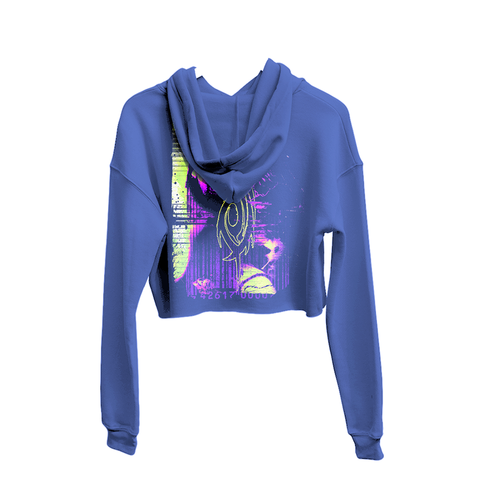 Inlay Cropped Hoodie Back